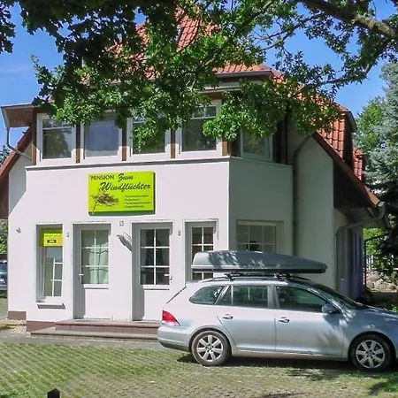Windfluechter Treibholz Apartment Prerow Exterior photo