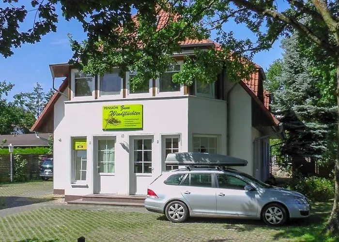 Windfluechter Treibholz