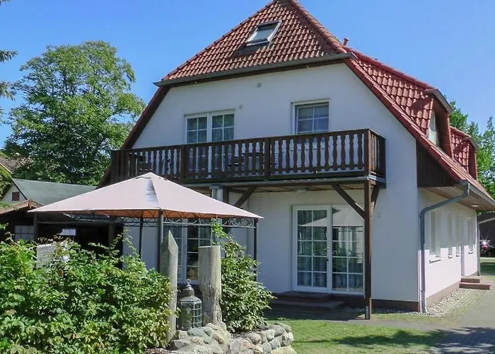 Windfluechter Treibholz