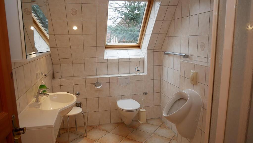 Apartment Windfluechter Treibholz Prerow