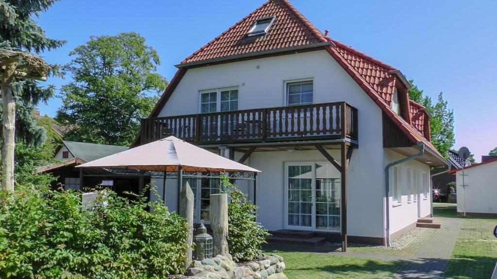 Windfluechter Treibholz Prerow